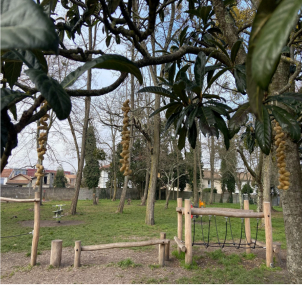 arbre-projet
