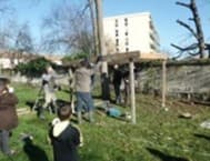 arbre-projet